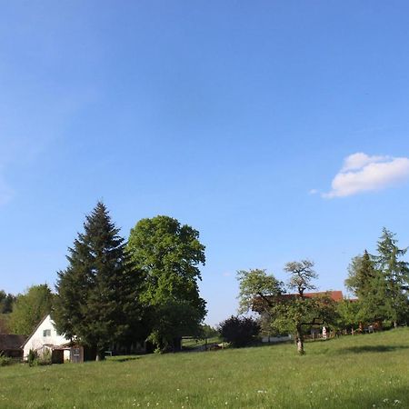 Auszeit Auf Dem Lindenhof Lägenhet Wangen im Allgäu Exteriör bild