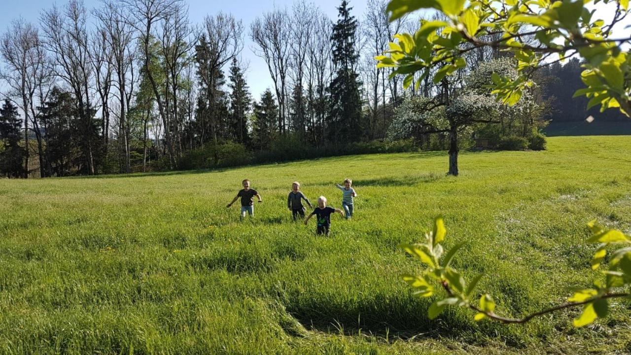 Auszeit Auf Dem Lindenhof Lägenhet Wangen im Allgäu Exteriör bild