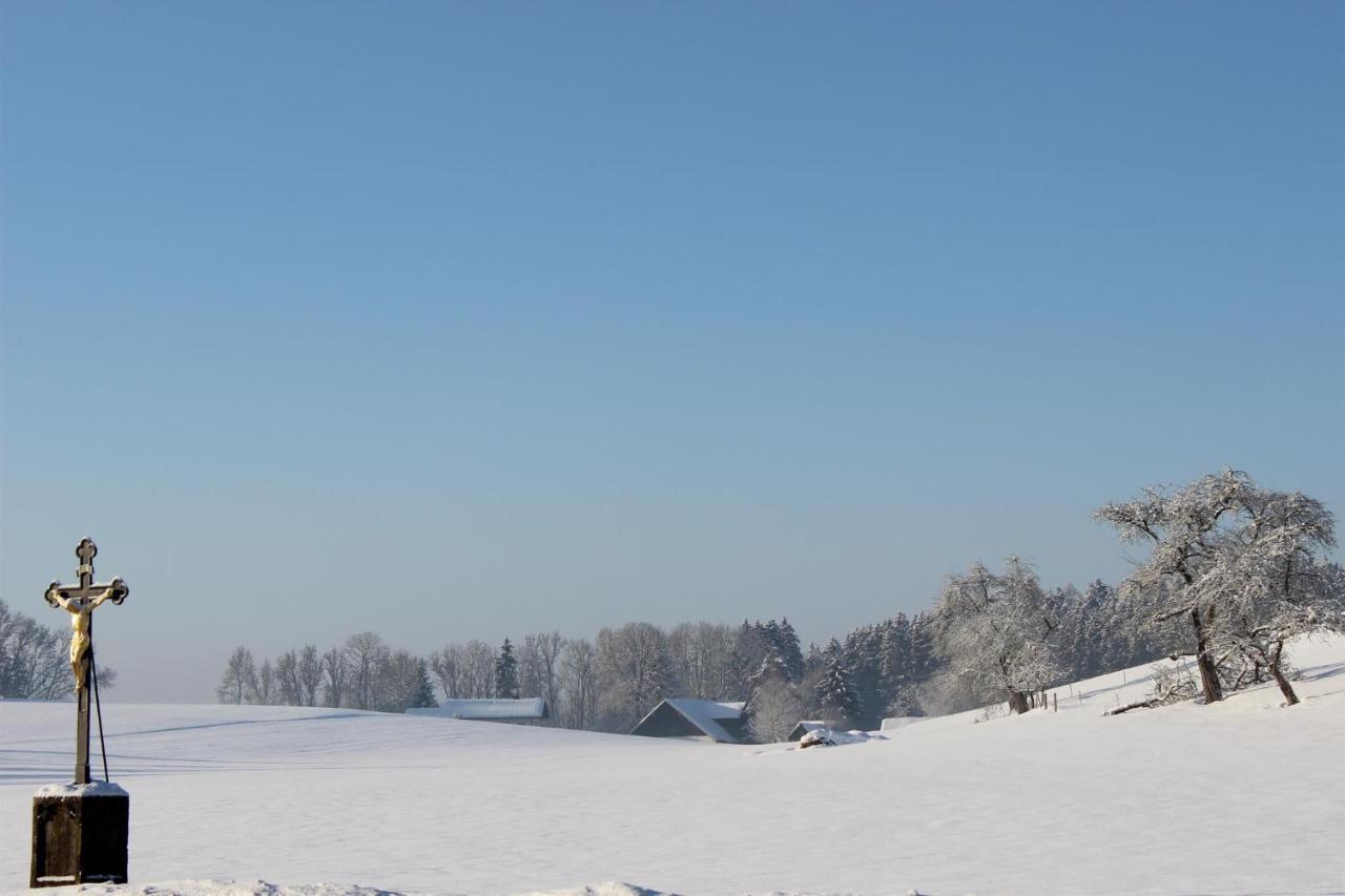 Auszeit Auf Dem Lindenhof Lägenhet Wangen im Allgäu Exteriör bild