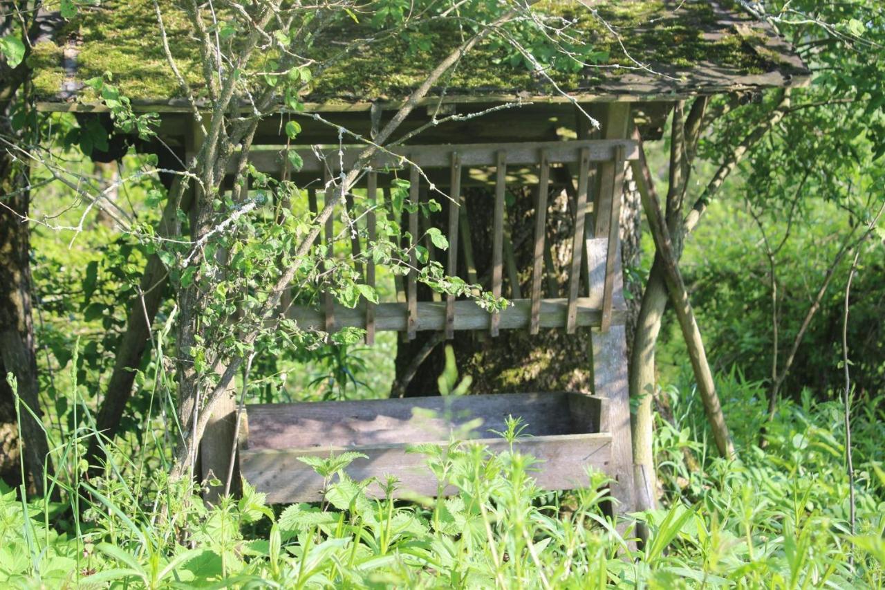 Auszeit Auf Dem Lindenhof Lägenhet Wangen im Allgäu Exteriör bild