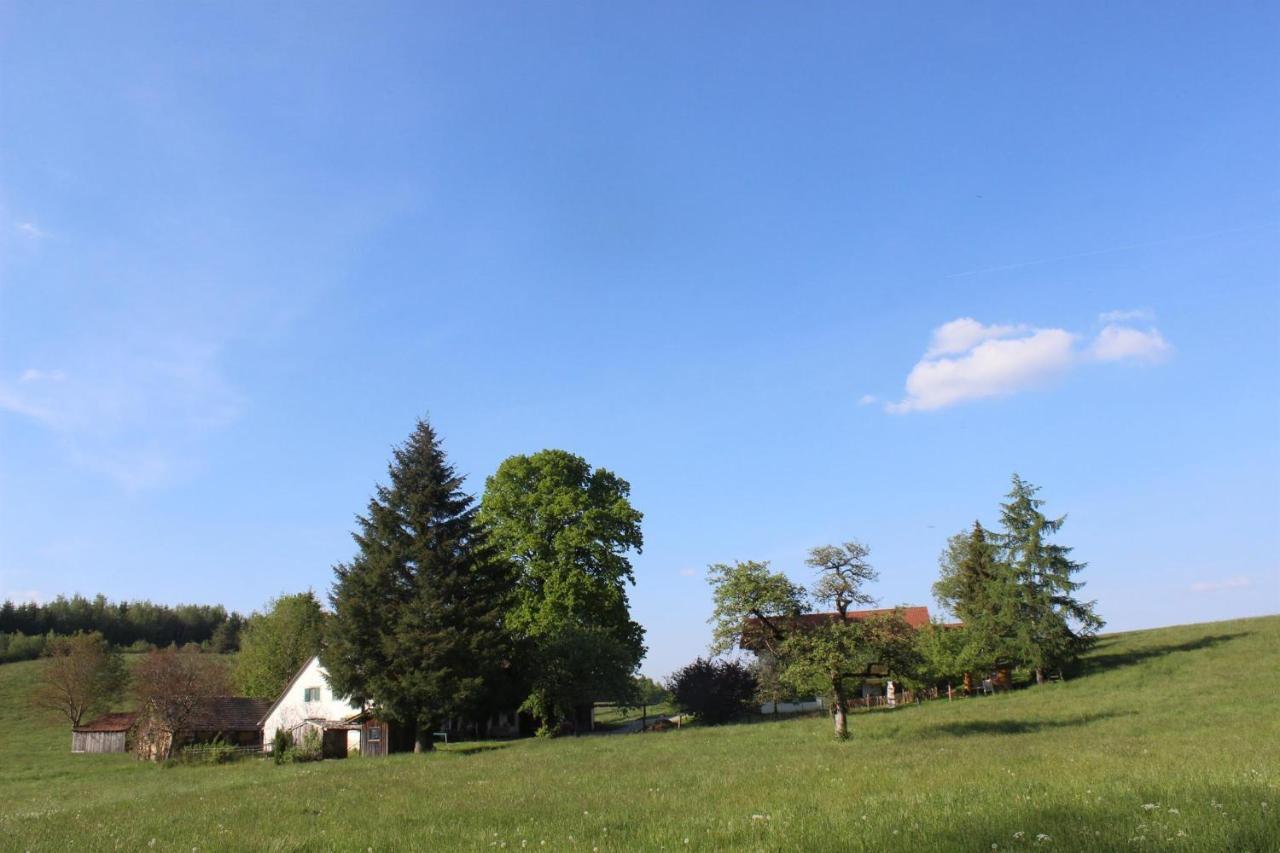Auszeit Auf Dem Lindenhof Lägenhet Wangen im Allgäu Exteriör bild