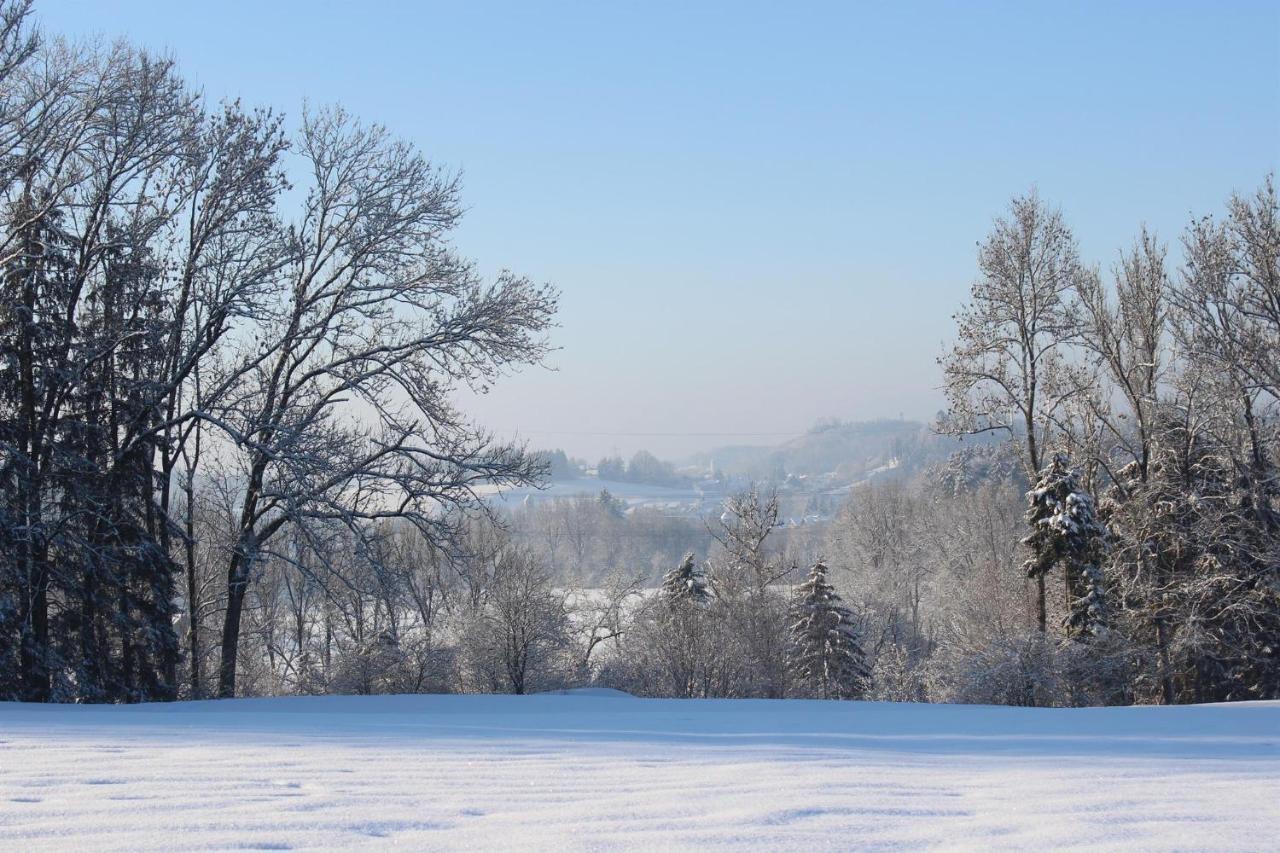 Auszeit Auf Dem Lindenhof Lägenhet Wangen im Allgäu Exteriör bild